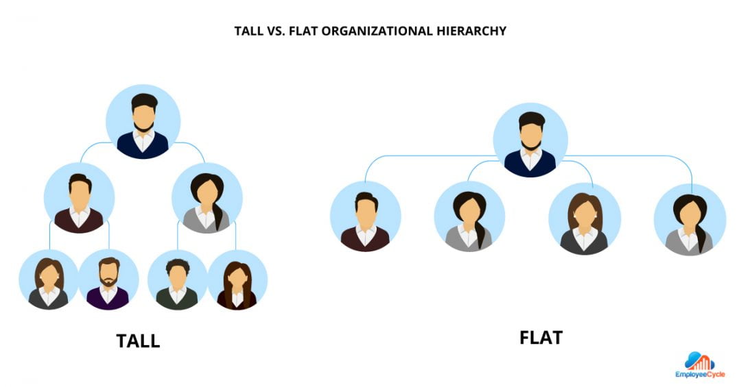 Human Resources Span of Control Definition, Types & Measurement